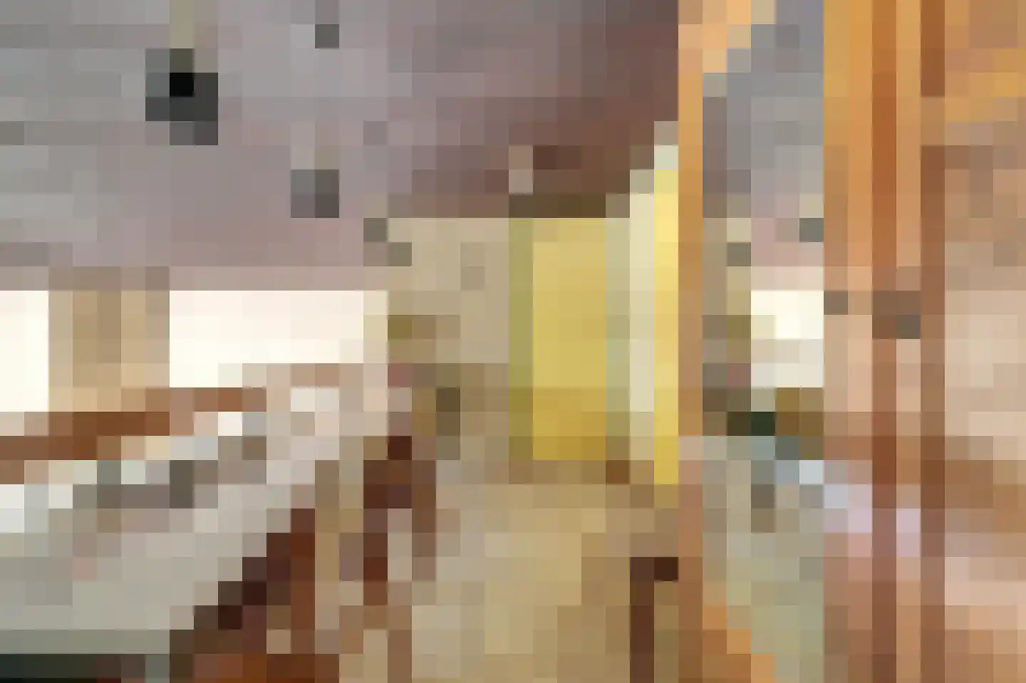 Notaris L P vd Blinkln 11 a Brielle thumbnail 41