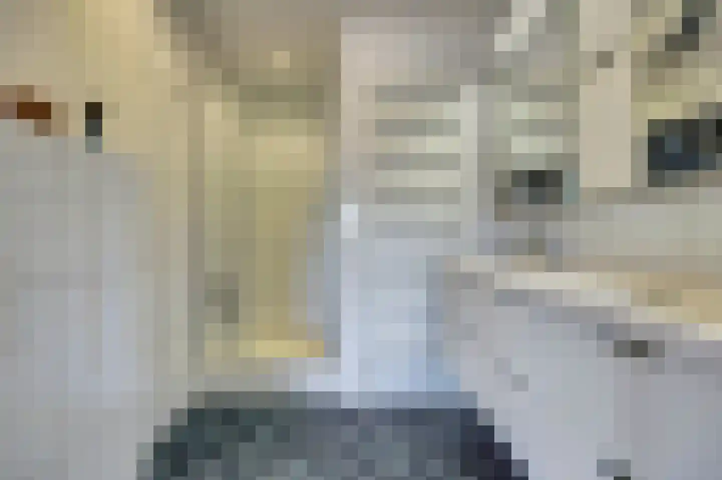 Notaris L P vd Blinkln 11 a Brielle thumbnail 47