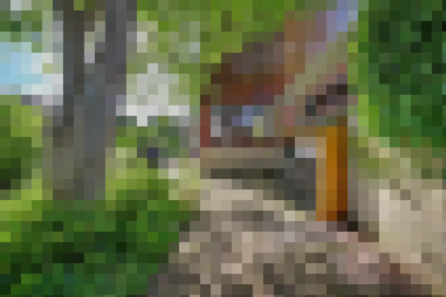 Notaris L P vd Blinkln 11 a Brielle thumbnail 59