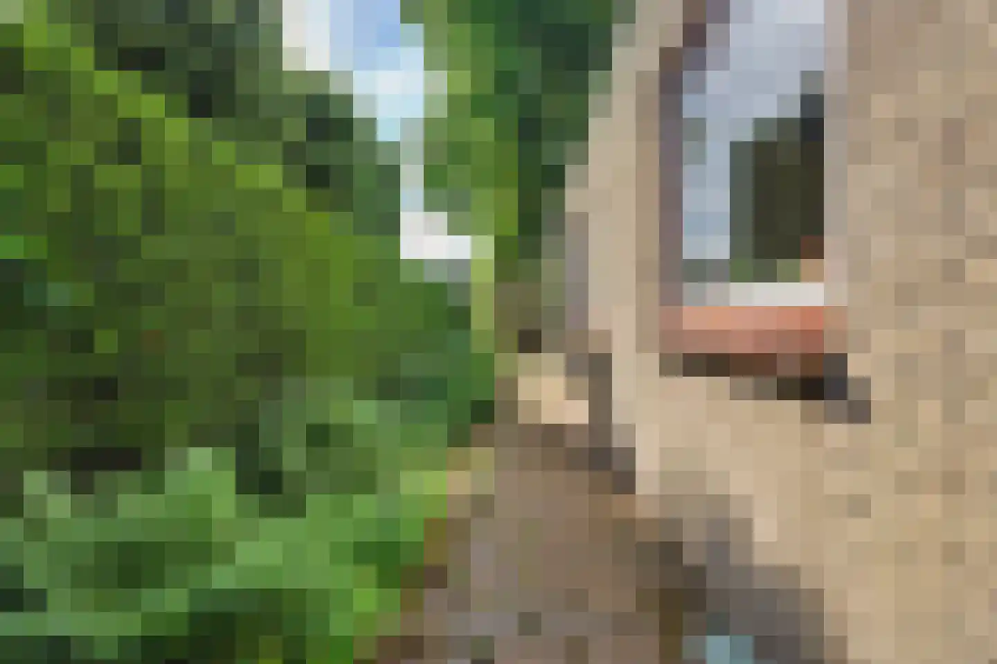 Notaris L P vd Blinkln 11 a Brielle thumbnail 62