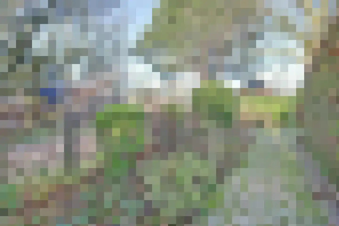 Notaris L P vd Blinkln 11 a Brielle thumbnail 62