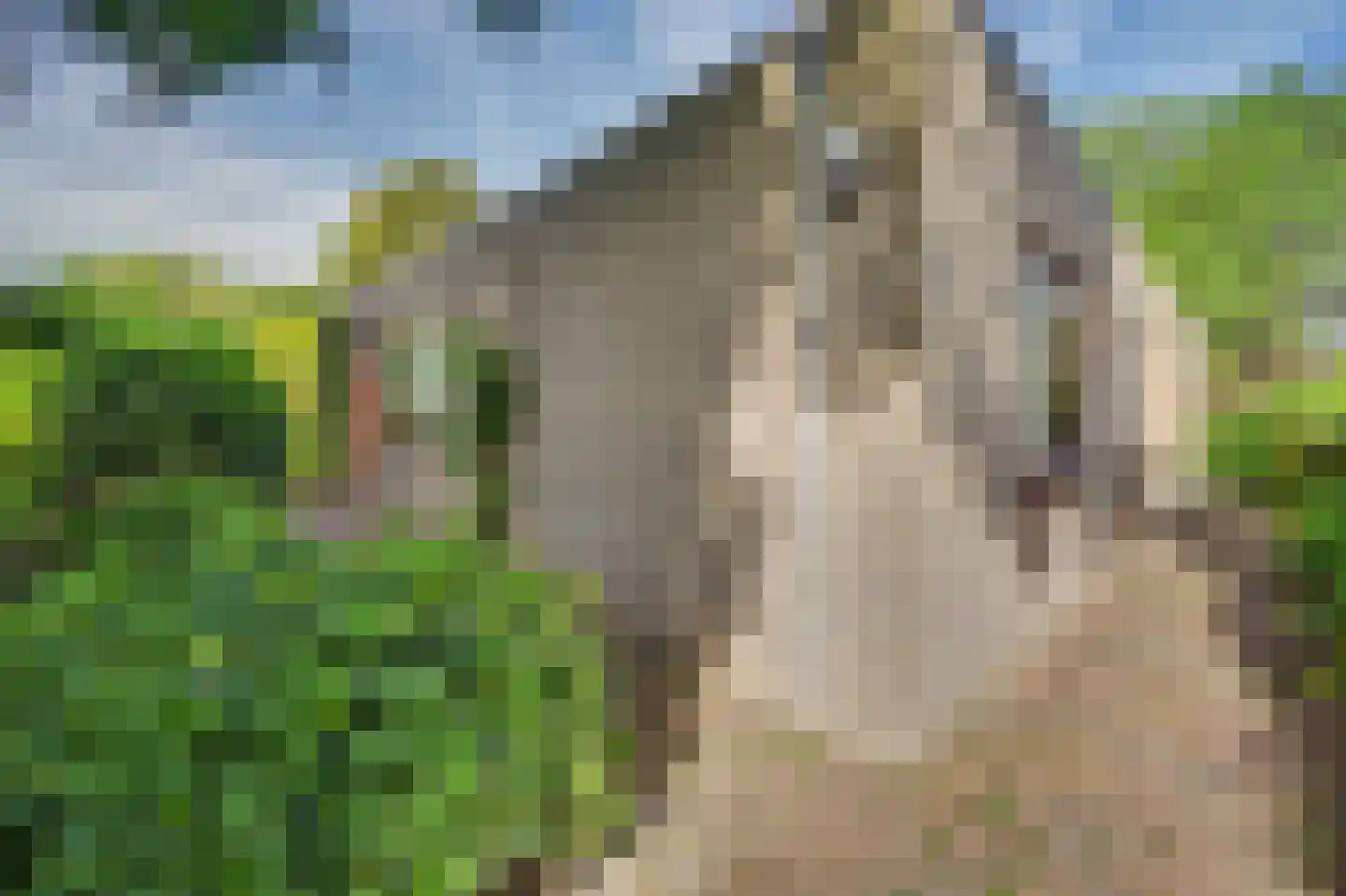 Notaris L P vd Blinkln 11 a Brielle thumbnail 63