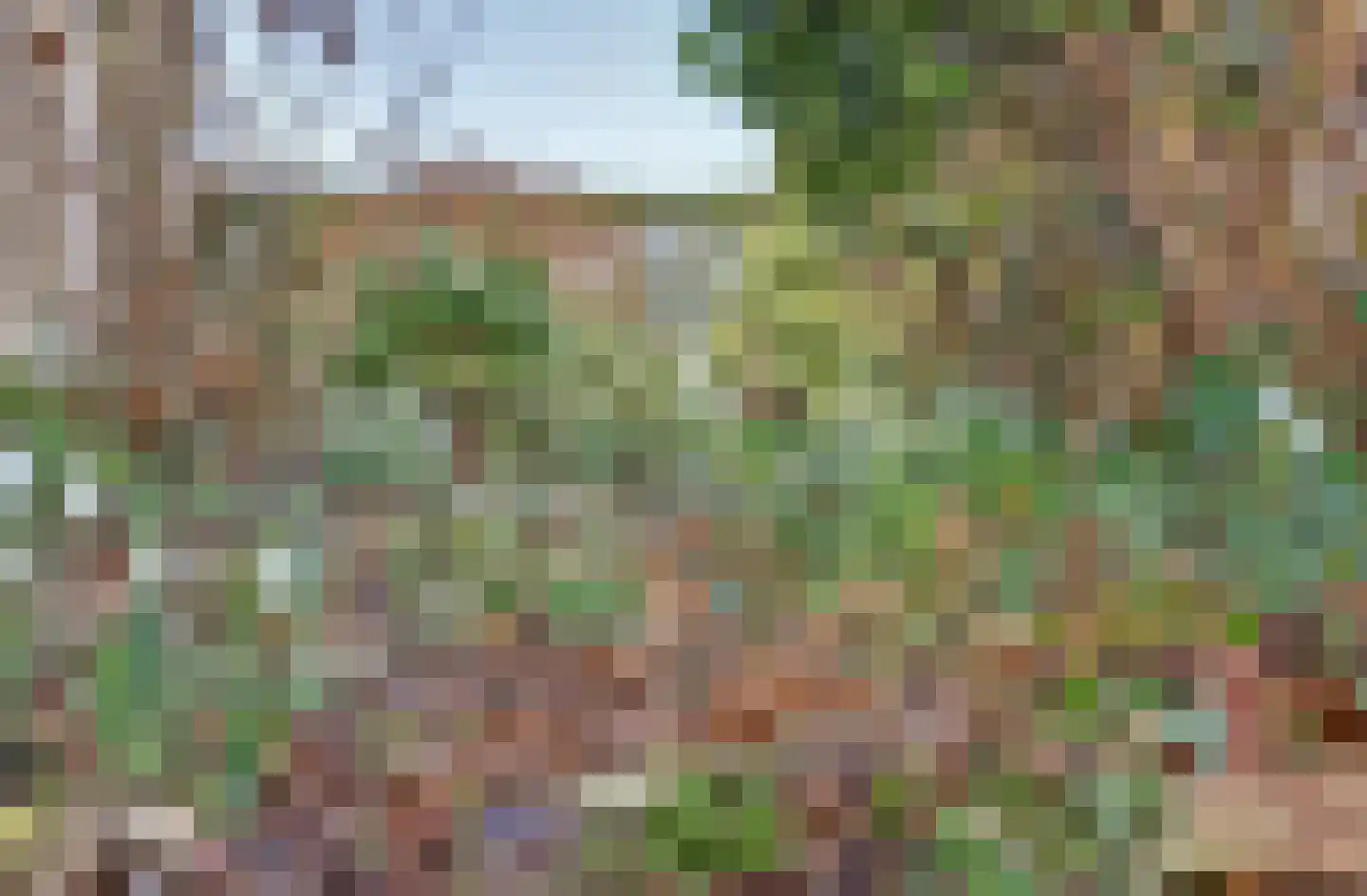Notaris L P vd Blinkln 11 a Brielle thumbnail 69