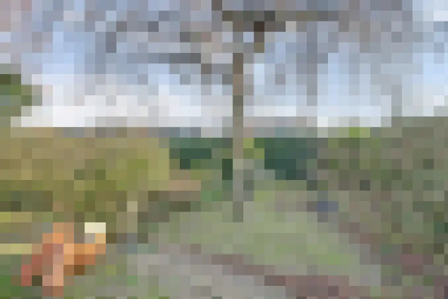 Notaris L P vd Blinkln 11 a Brielle thumbnail 70