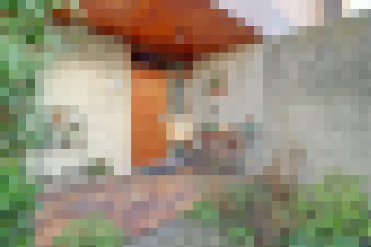Notaris L P vd Blinkln 11 a Brielle thumbnail 8