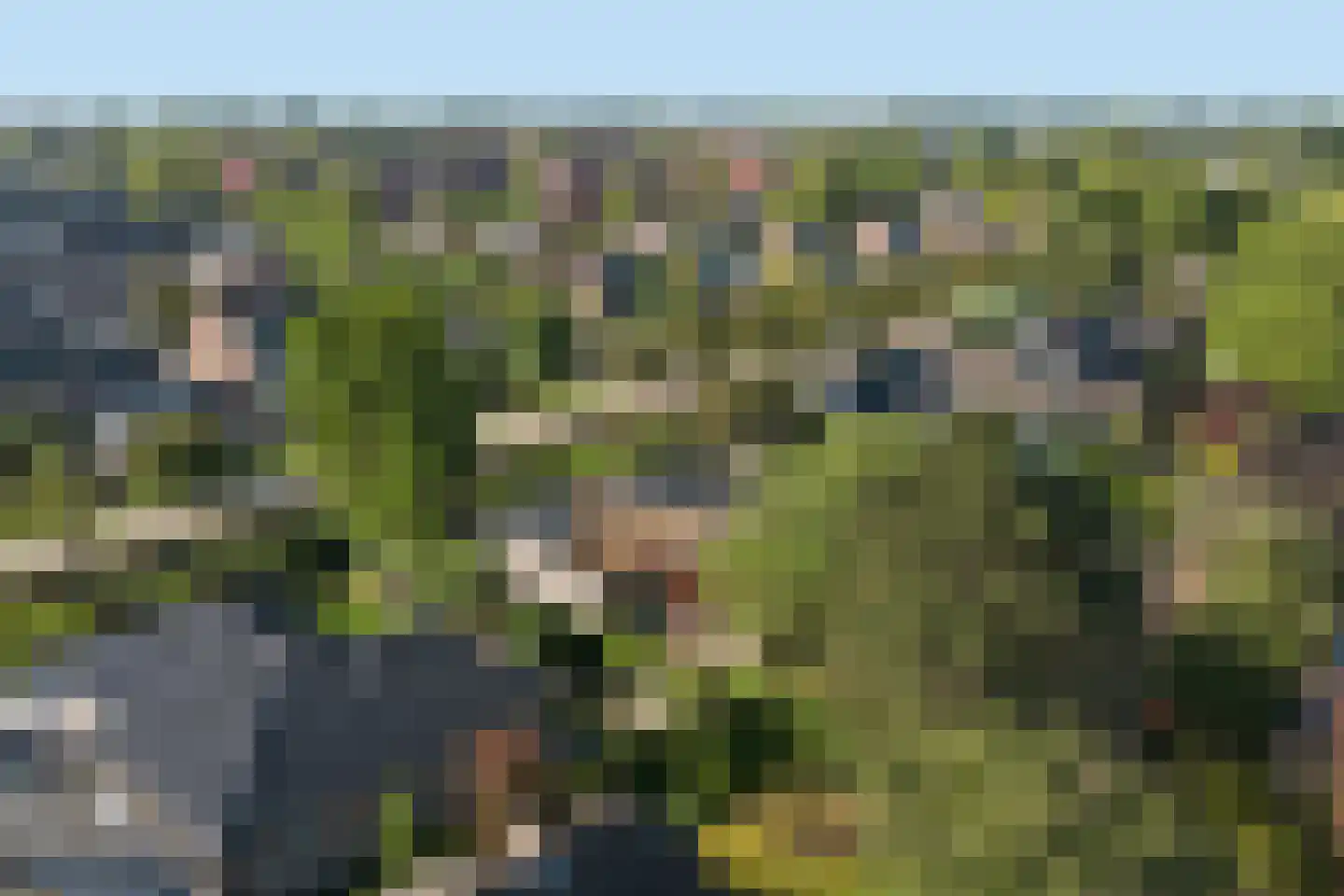 Notaris L P vd Blinkln 11 a Brielle thumbnail 83