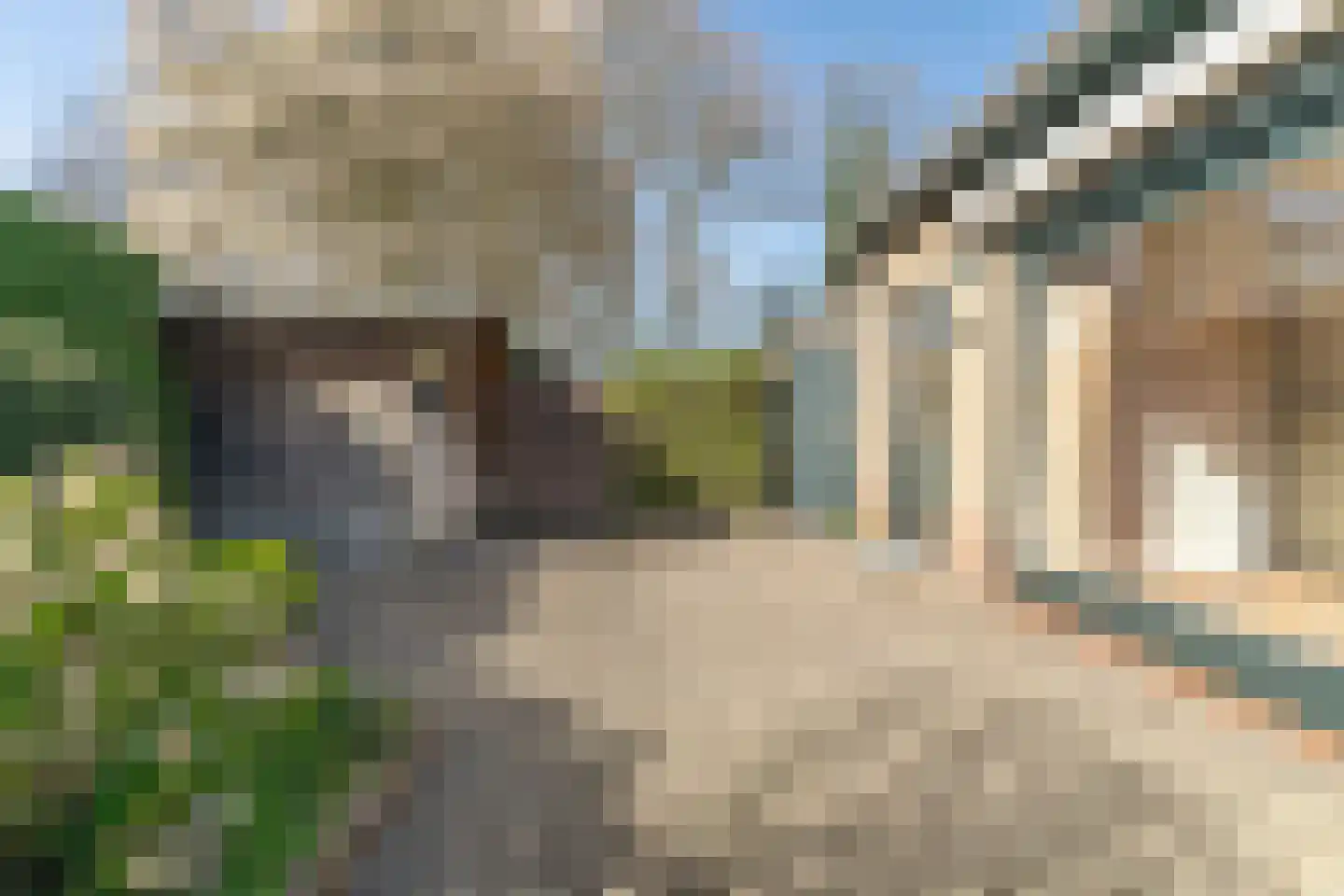 Notaris Meesterserf 11 Nunspeet thumbnail 31