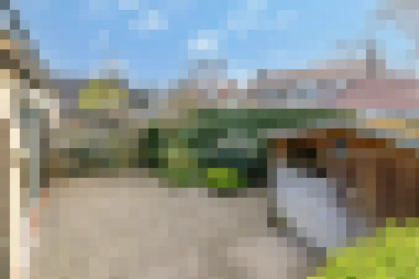 Notaris Meesterserf 11 Nunspeet thumbnail 4