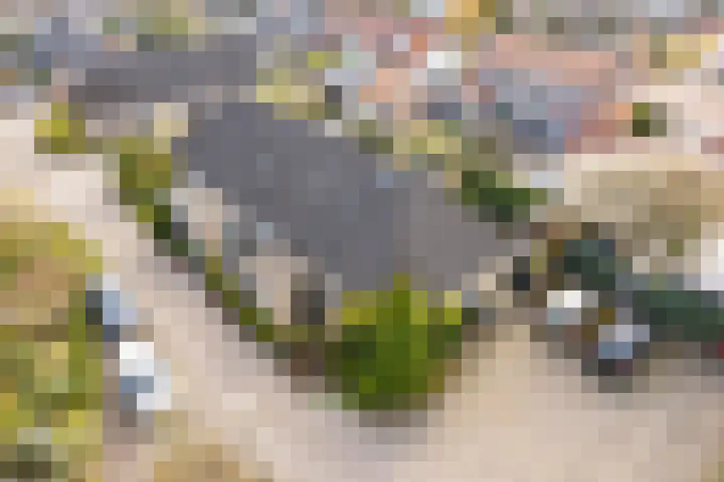 Notaris Meesterserf 11 Nunspeet thumbnail 6