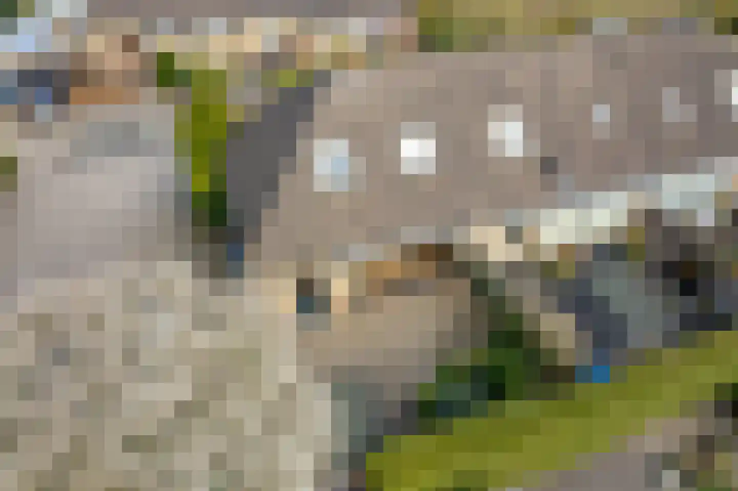 Notaris Meesterserf 11 Nunspeet thumbnail 7