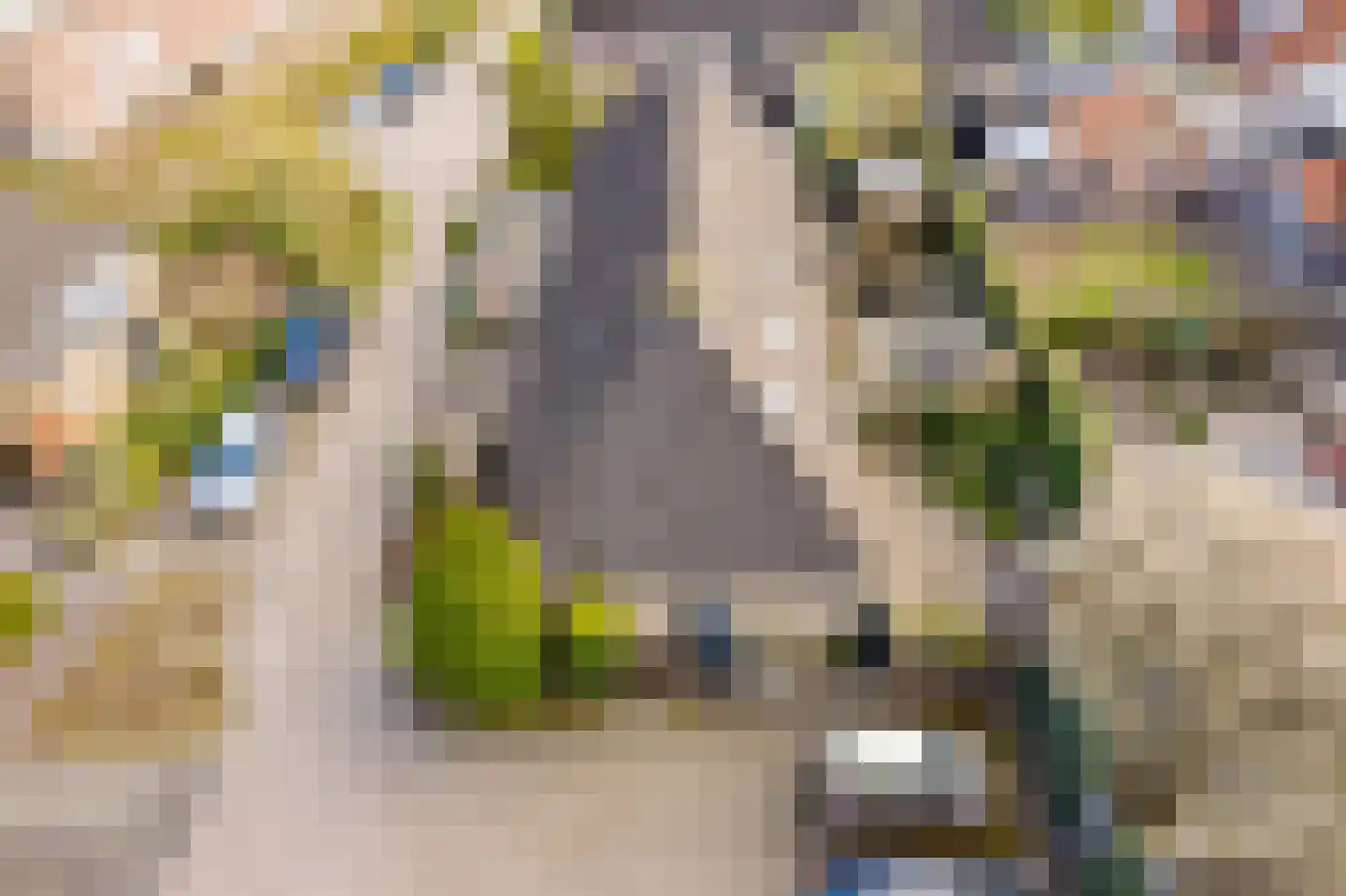 Notaris Meesterserf 11 Nunspeet thumbnail 8