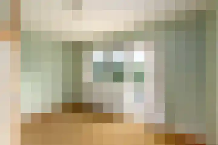 Notaris Mulderstraat 13 Hoogeveen thumbnail 11