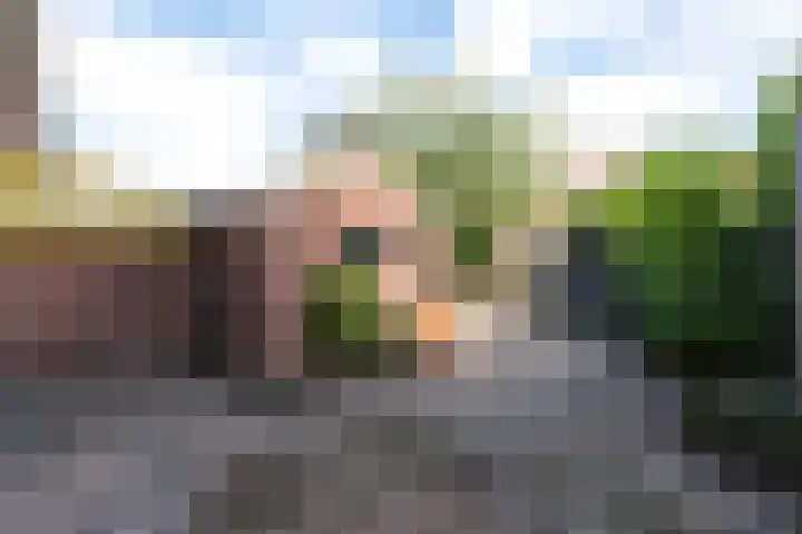 Notaris Mulderstraat 13 Hoogeveen thumbnail 17
