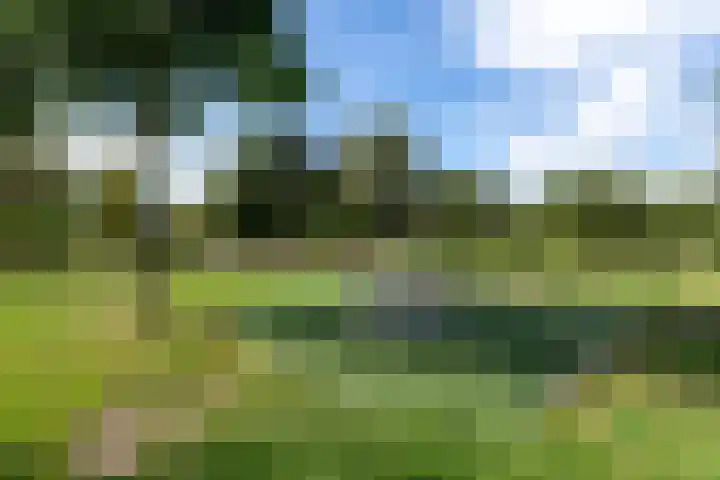 Notaris Mulderstraat 13 Hoogeveen thumbnail 22
