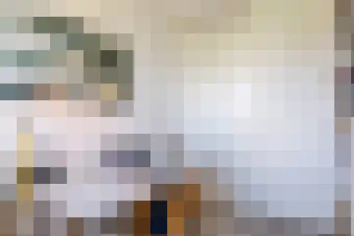 Notaris Mulderstraat 14 Hoogeveen thumbnail 38