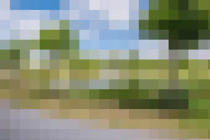 Notaris Mulderstraat 14 Hoogeveen thumbnail 46