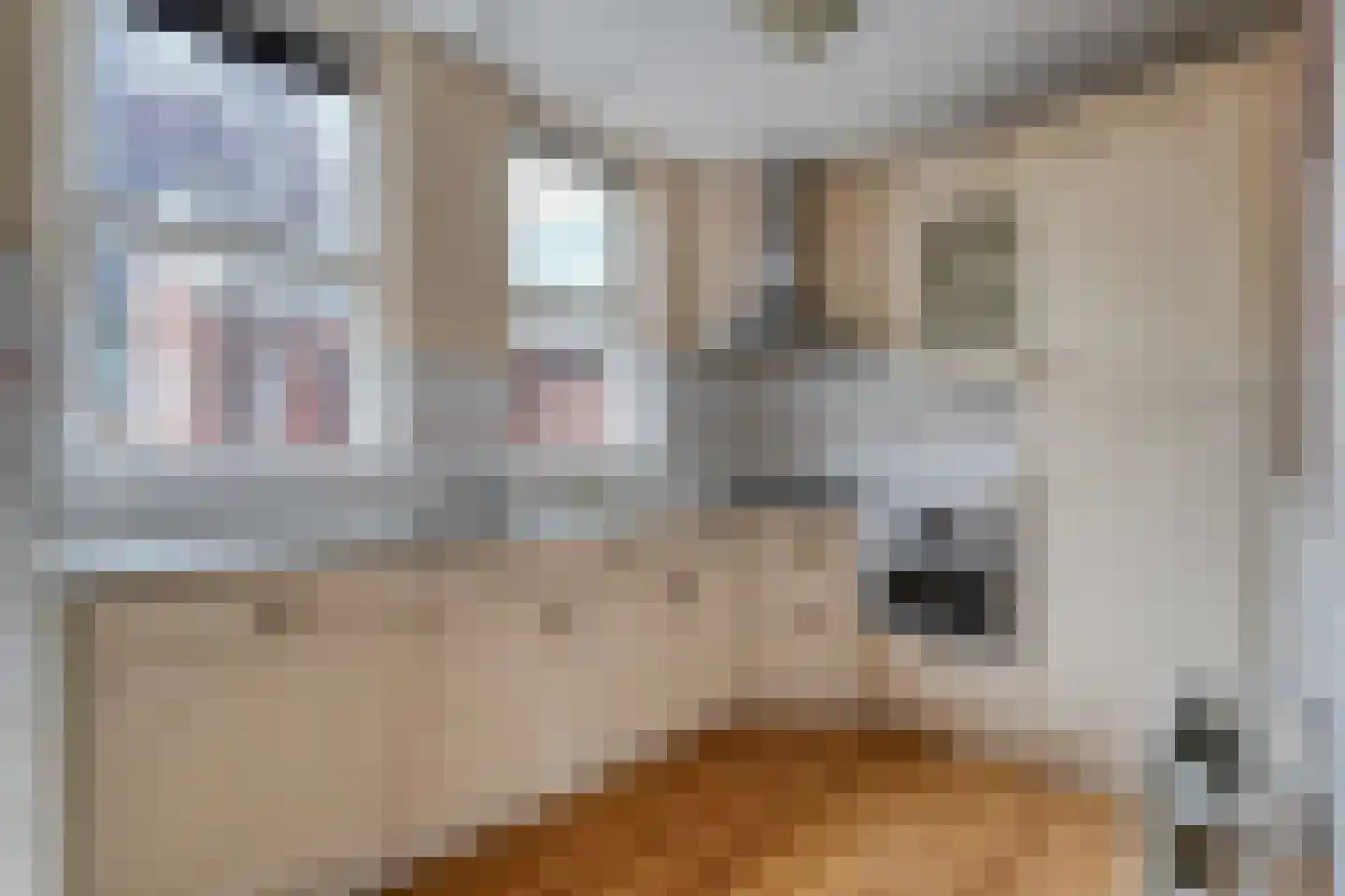 Notaris Mulderstraat 9 Hoogeveen thumbnail 15