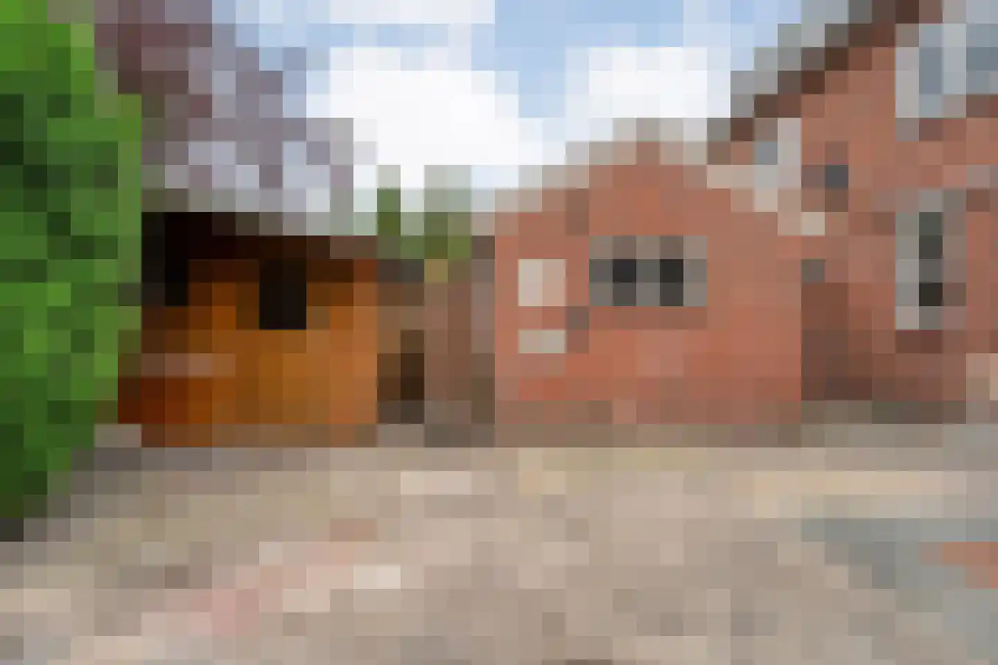 Notaris Mulderstraat 9 Hoogeveen thumbnail 47