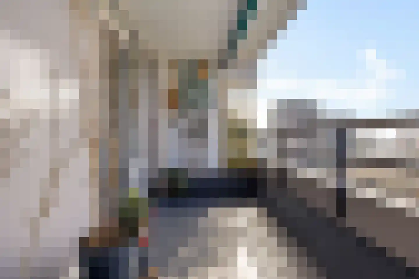 Notaris Oostingstraat 91 Emmen thumbnail 34