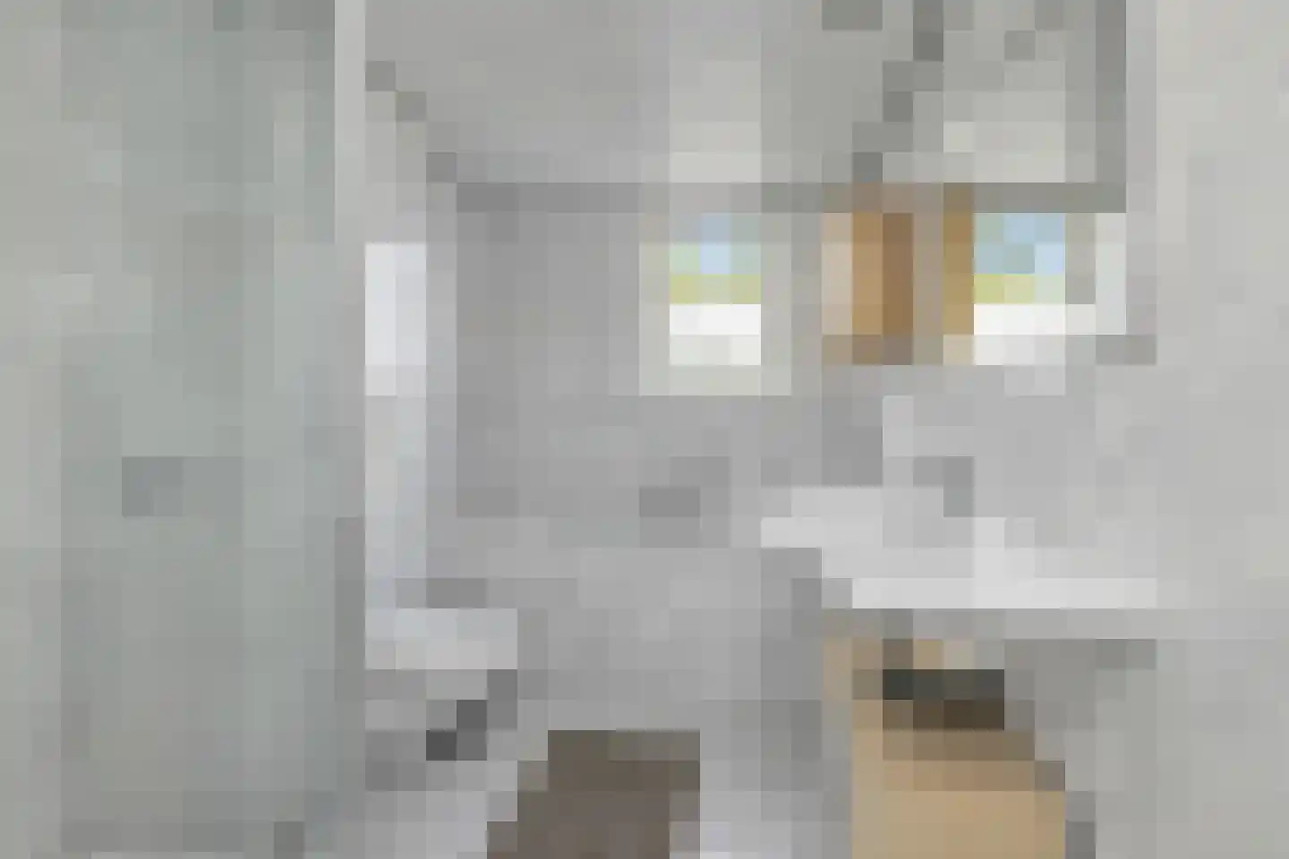 Notaris Steenpoortestraat 4 Andijk thumbnail 24