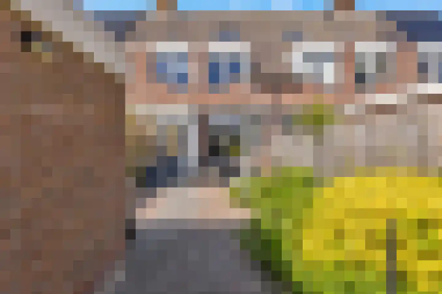 Notaris Steenpoortestraat 4 Andijk thumbnail 29