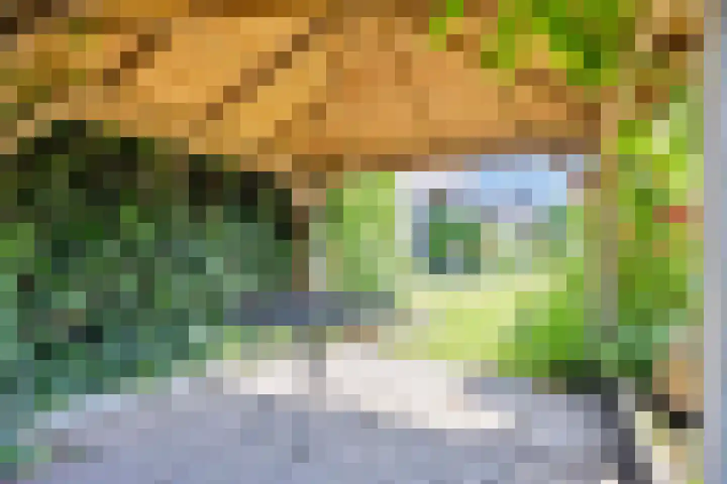 Notaris van Aalstweg 11 Waardenburg thumbnail 50