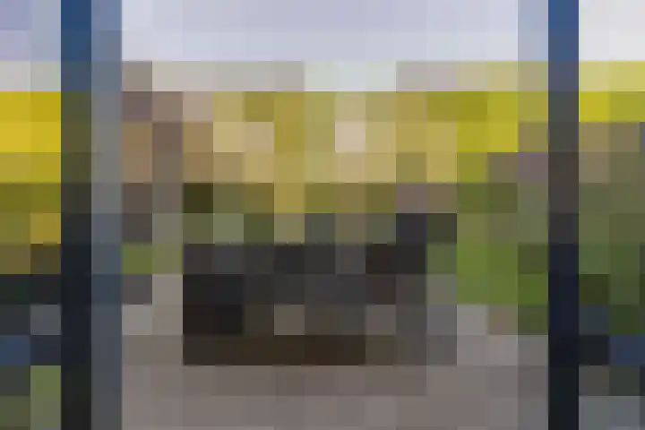 Notaris van Puttenstraat 12 Ede thumbnail 4