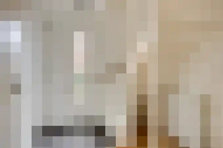 Notarisappel 10 Kampen thumbnail 11