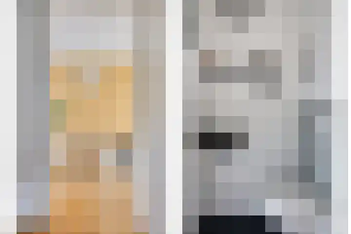 Notarisappel 10 Kampen thumbnail 12