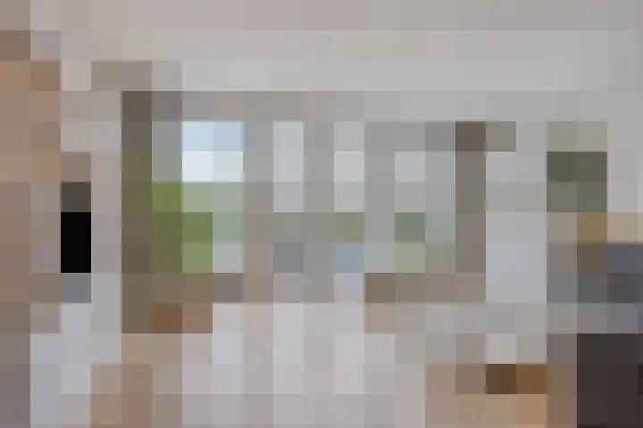 Notarisappel 10 Kampen thumbnail 13