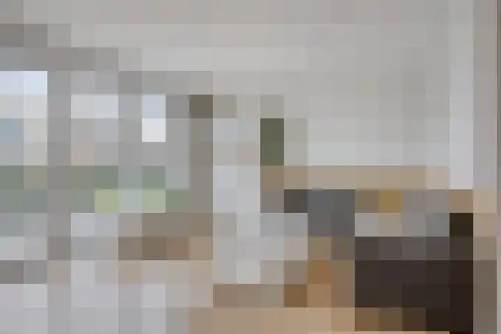 Notarisappel 10 Kampen thumbnail 14