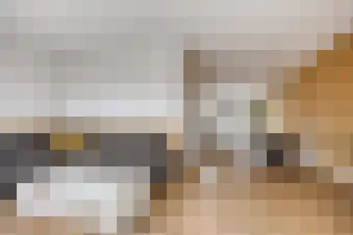 Notarisappel 10 Kampen thumbnail 17