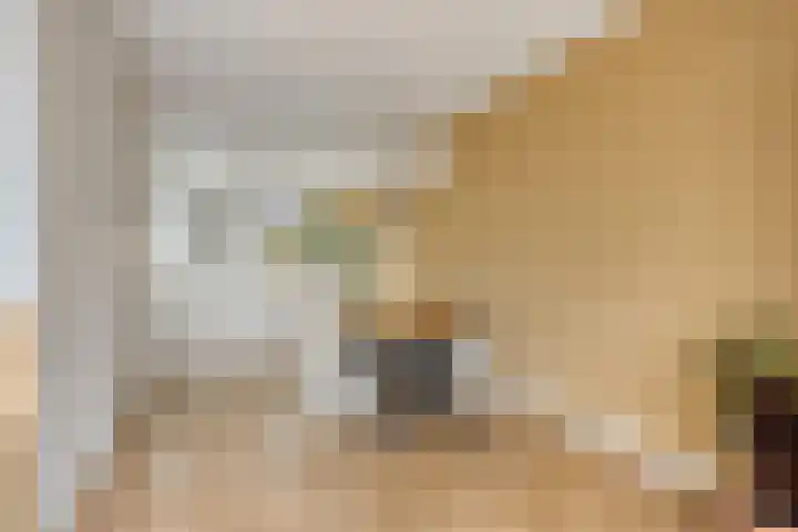 Notarisappel 10 Kampen thumbnail 18