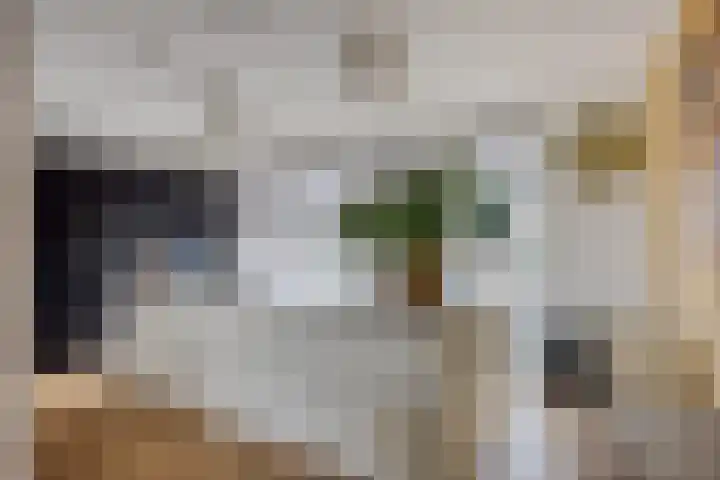 Notarisappel 10 Kampen thumbnail 21