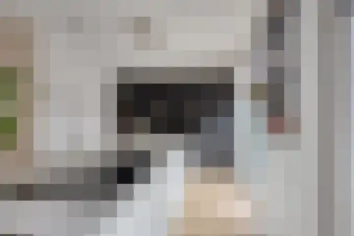 Notarisappel 10 Kampen thumbnail 22