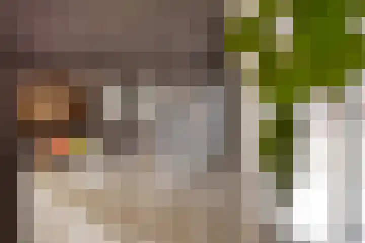 Notarisappel 10 Kampen thumbnail 24