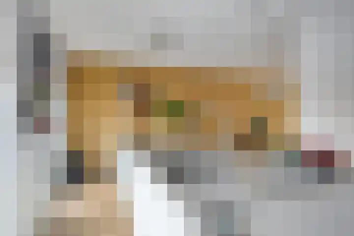 Notarisappel 10 Kampen thumbnail 26