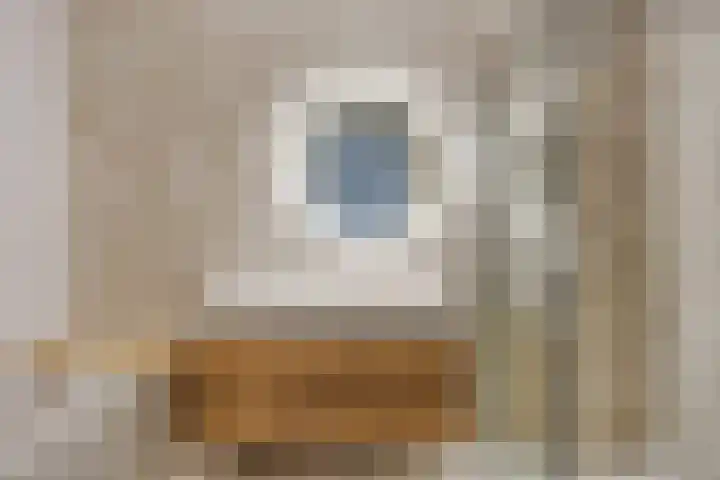 Notarisappel 10 Kampen thumbnail 31