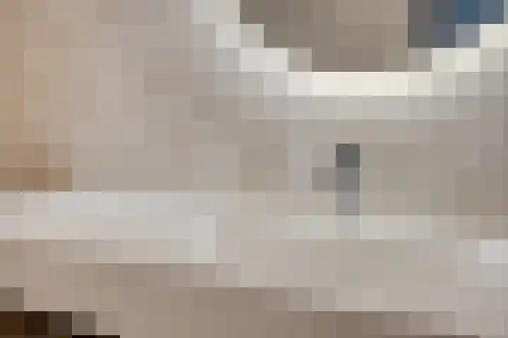 Notarisappel 10 Kampen thumbnail 33