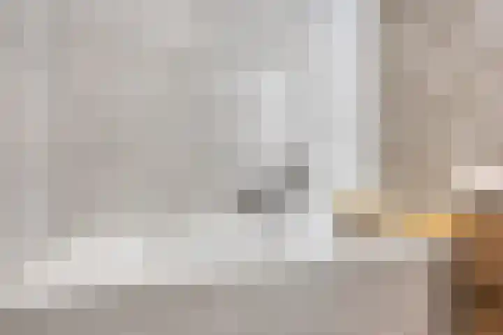 Notarisappel 10 Kampen thumbnail 34