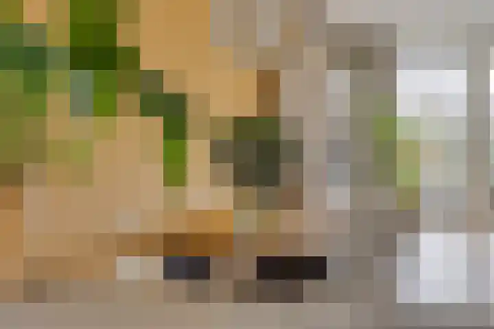 Notarisappel 10 Kampen thumbnail 4