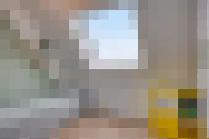 Notarisappel 10 Kampen thumbnail 44