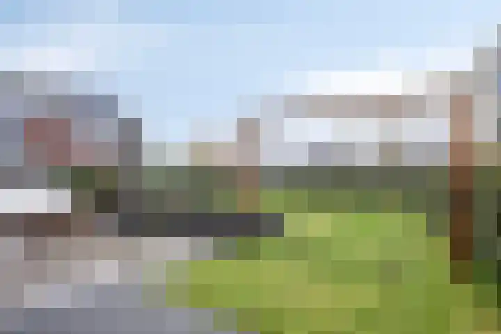 Notarisappel 10 Kampen thumbnail 46