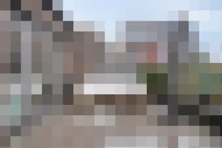 Notarisappel 10 Kampen thumbnail 47