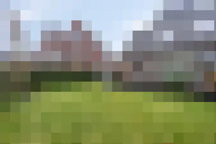 Notarisappel 10 Kampen thumbnail 50