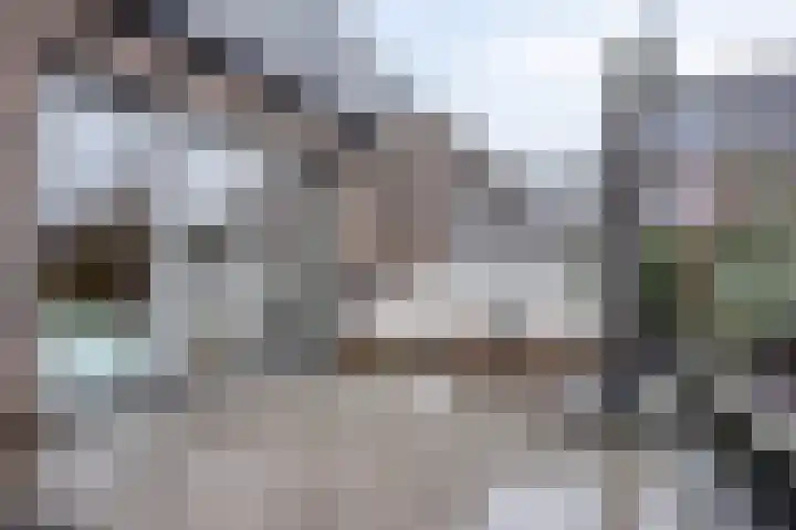 Notarisappel 10 Kampen thumbnail 52