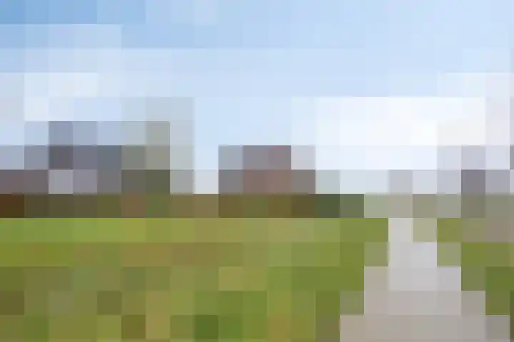 Notarisappel 10 Kampen thumbnail 53