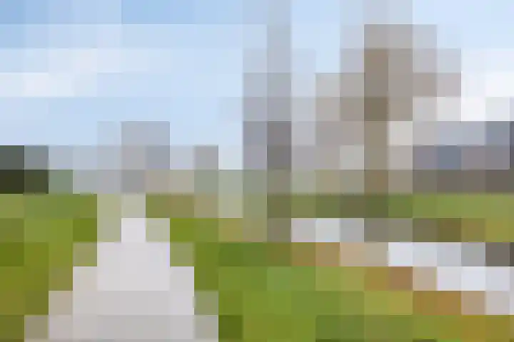 Notarisappel 10 Kampen thumbnail 54