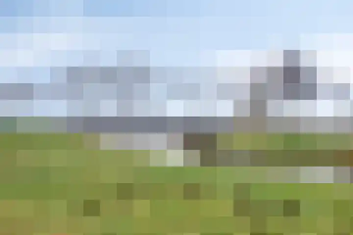 Notarisappel 10 Kampen thumbnail 56