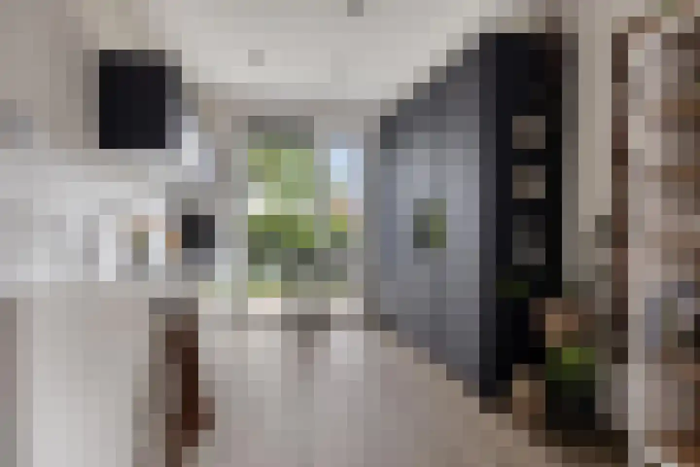 Notarisappel 11 Kampen thumbnail 10